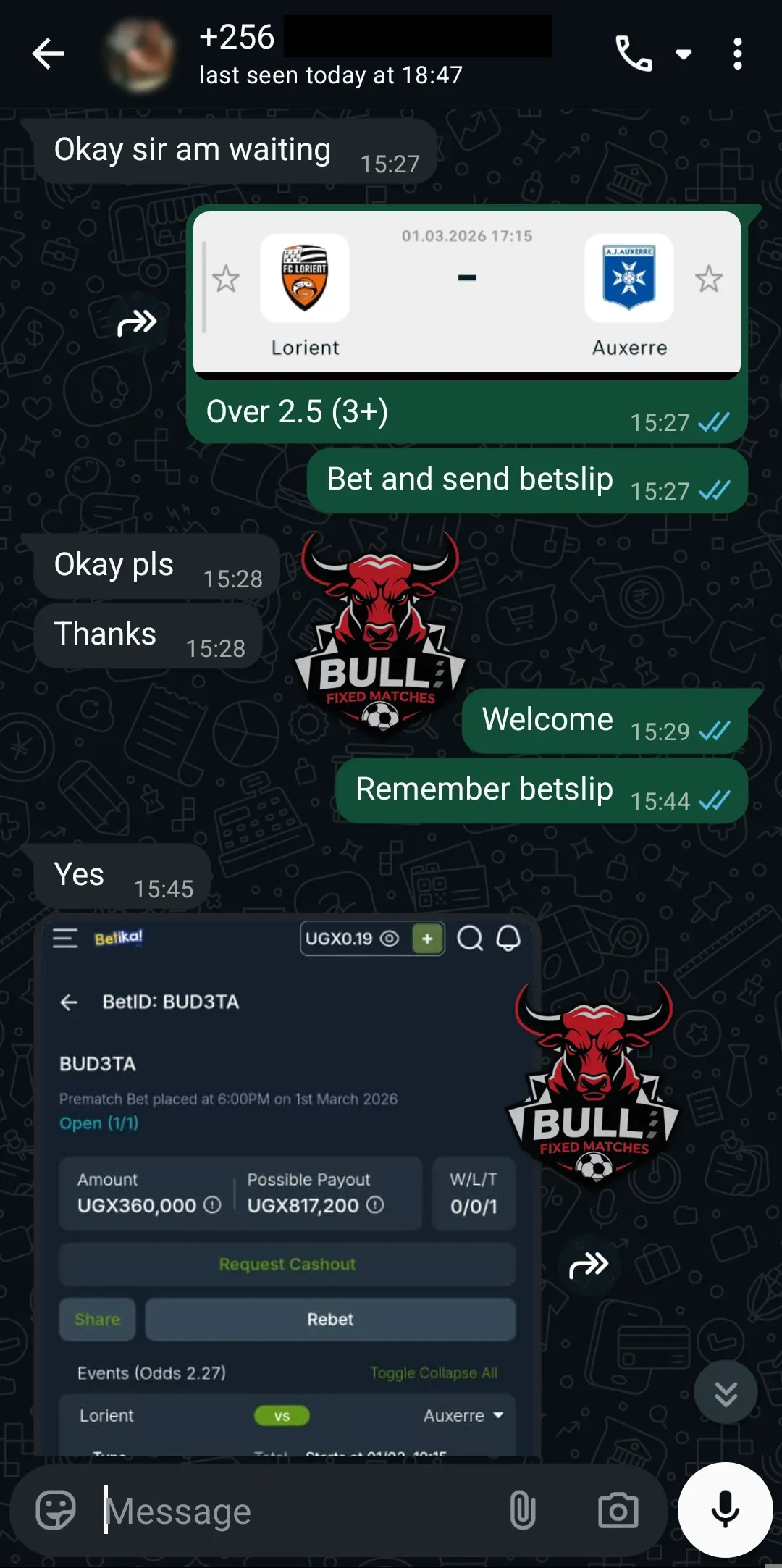 daily fixed matches daily fixed matches